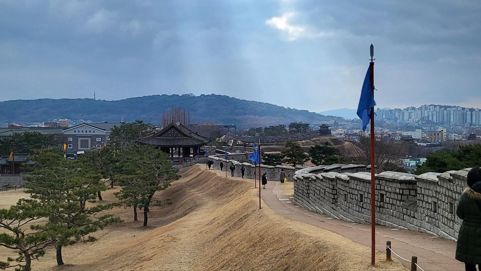Seoul: Suwon Hwaseong and Exotic Food Private Chartered Tour