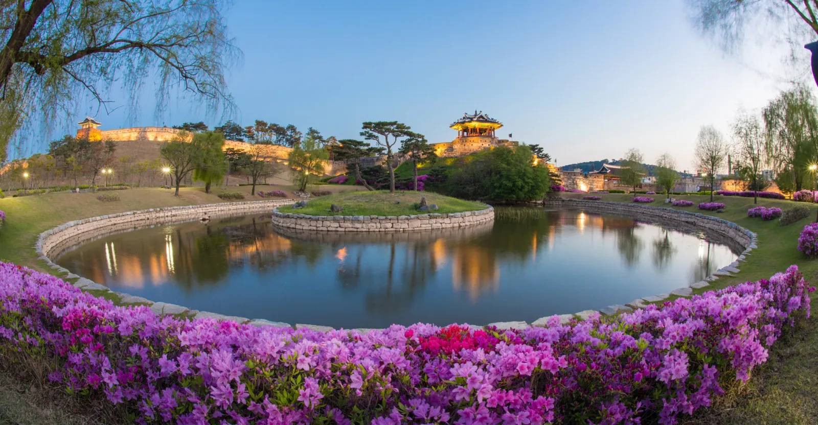 Azaleas in bloom around the illuminated Hwaseong Fortress pond at twilight