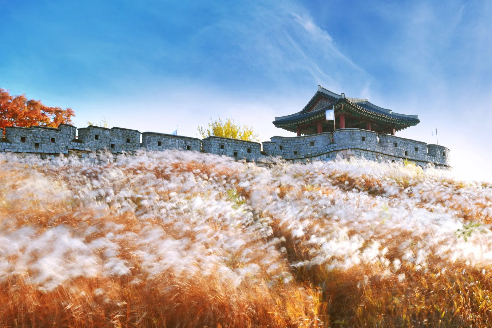 From Seoul: Suwon Hwaseong Fortress Tour