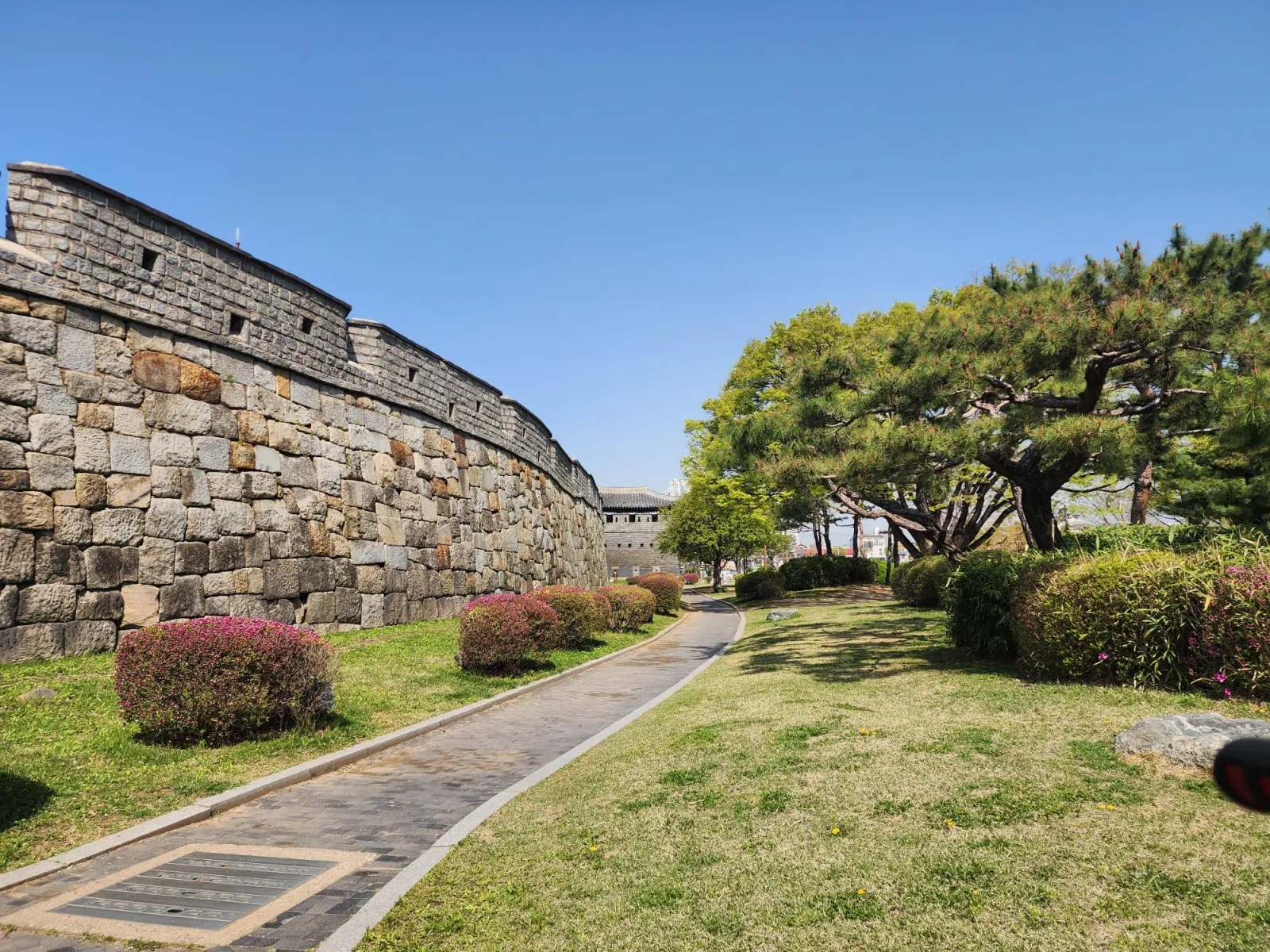 The tree-lined rampart walkway along the Hwaseong Fortress wall