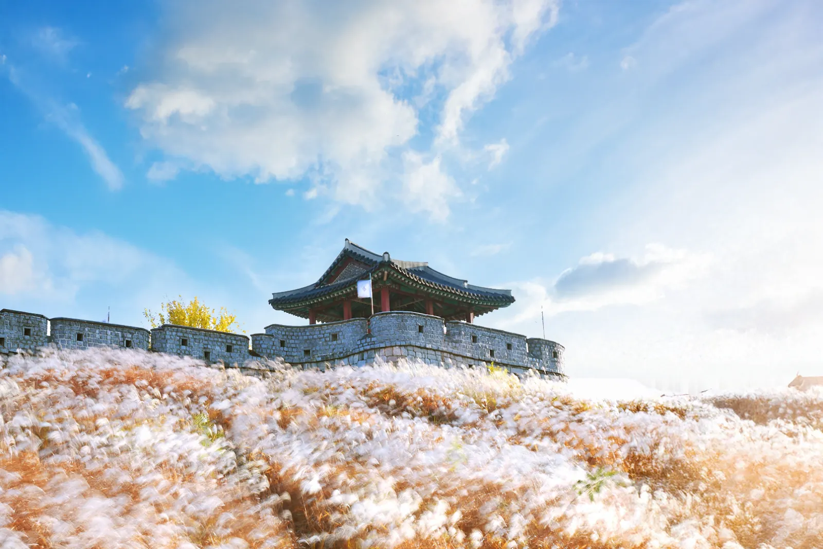 Hwaseong Fortress pavilion above pampas grass under a bright sky