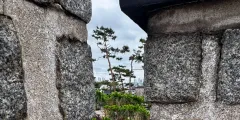 Guest photo from review